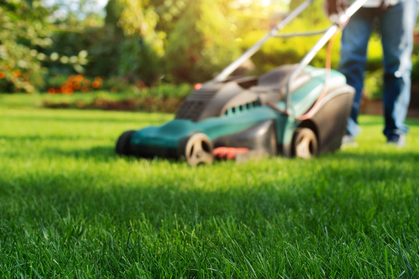 Sell Your Lawn Care or Landscaping Business | Stump & Company